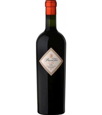 Alta Reserva Syrah WO Mendoza Pascual Toso