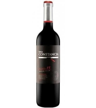 Parcela 23 Tempranillo