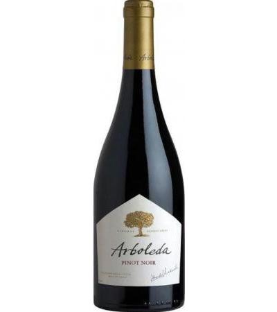 Pinot Noir WO Aconcagua Costa
