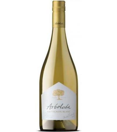 Sauvignon Blanc DO Valle de Aconcagua