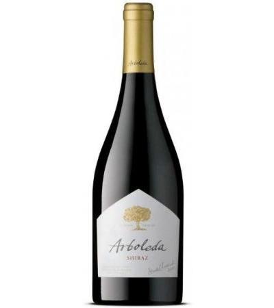 Shiraz DO Valle de Aconcagua