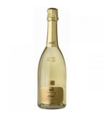 Contadi F.corta Soul Saten 05