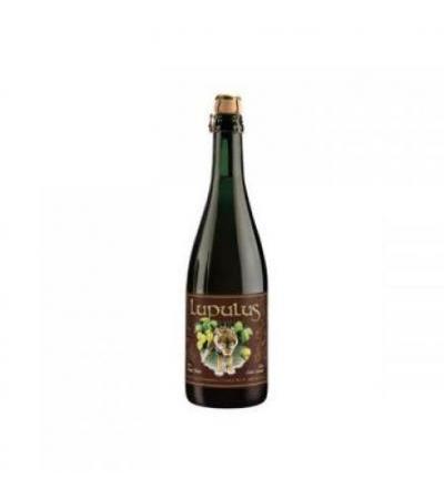 Lupulus Brune 8,2% Cl75x12