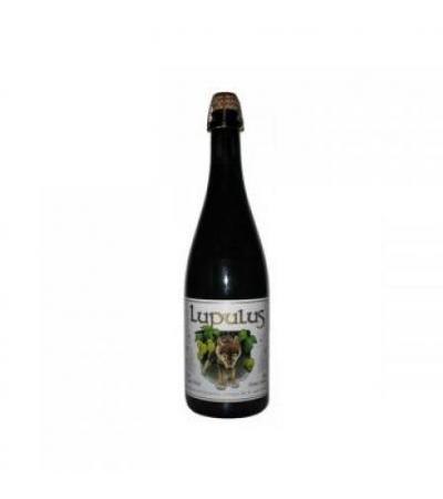 Lupulus Tripel 7,5% Cl75x12