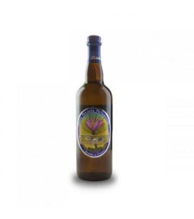 Mt.amiata's Beer-crocus