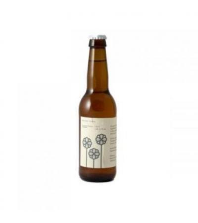 Summer  Pilsner Mikkellr 33x24