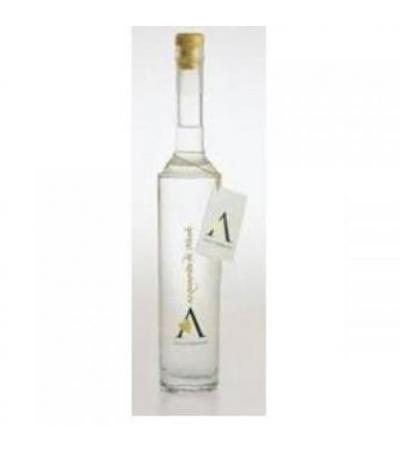 Ville Arfanta A.vite Noah Cl50