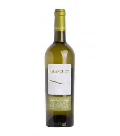 Falanghina DOC Di Majo Norante Organic wine