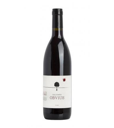 Rosso Toscano "Obvius" Salcheto Organic wine