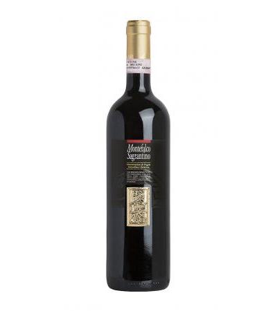 Sagrantino di Montefalco 2010 DOCG Plani Arche Organic wine
