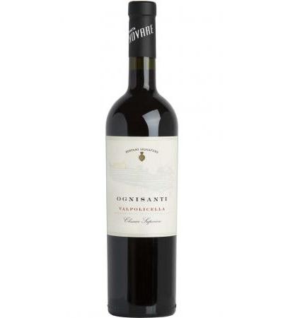 Valpolicella Classico Superiore "Ognisanti" DOC Bertani