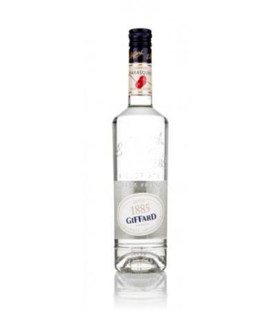 Giffard Marasquin Maraschino