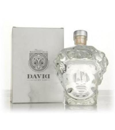 Gin David