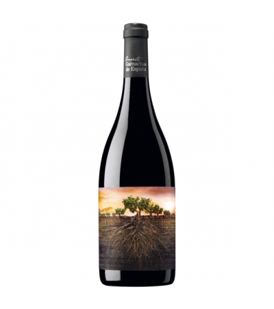 La Garnacha Olvidada