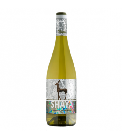 Shaya