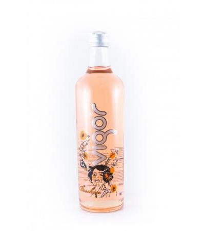 Vigor Frucht Breskva Peach Pfirsich 