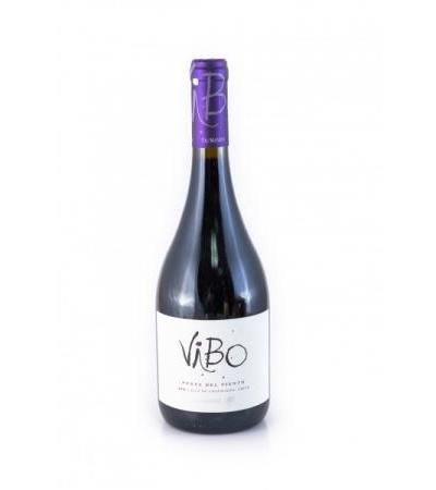 Viu Manent VIBO Punta del Viento Rotwein 