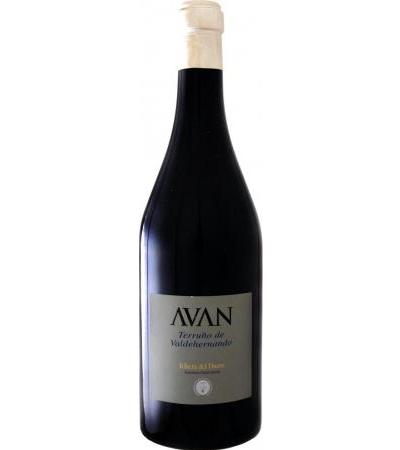 AVAN »Terruño de Valdehernando«
                         2006