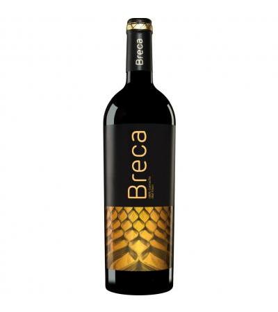 Breca
                         2013
