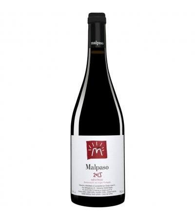 Canopy Malpaso
                         2015
