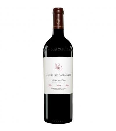 Capellanes
                        Crianza 2013