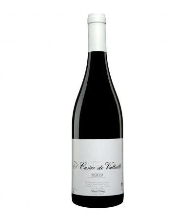 Castro Ventosa »El Castro de Valtuille Barrica«
                         2011