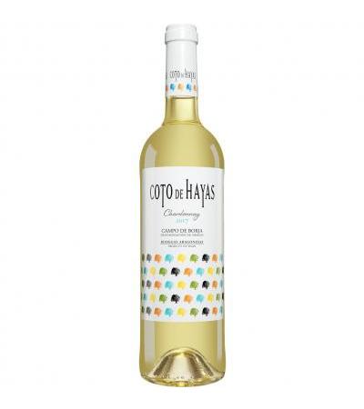 Coto de Hayas Blanco
                         2017