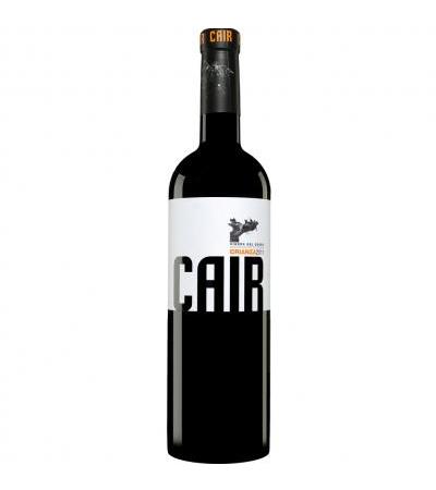 Dominio de Cair
                        Crianza 2011