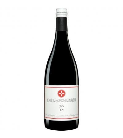 Laderas de Montejurra »Emilio Valerio«
                         2013