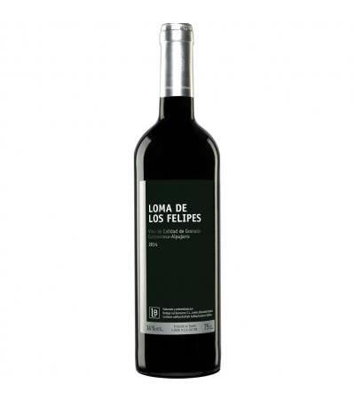 Loma de los Felipes
                         2014