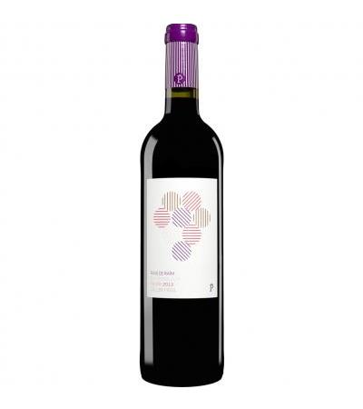 Raig de Raïm
                         2013