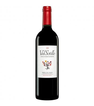 Val Sotillo »Finca Buenavista«
                         2013